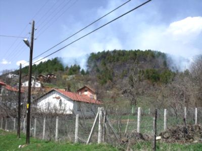 Orman yangını korkuttu!