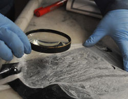 Ölen gencin annesinden şok iddia