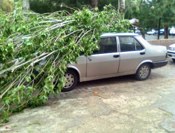 Fırtına önüne geleni kırdı geçti!