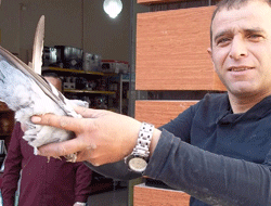 Herşey güvercini kurtarmak için