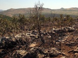 Diyarbakır Komutanı'ndan şok itiraf