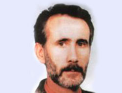 Yeşil, resmî kayıtlarda yaşıyor