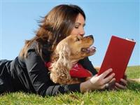 Köpek sahibini korkutan yasa!