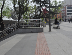 Trabzon’da başıboş uygulama