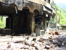 Rize'deki yangın söndürüldü