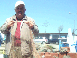 Karadeniz Balık Stokları Alarm Veriyor: Yunusların Kontrollü Avlanmasına İzin Verilsin Talebi