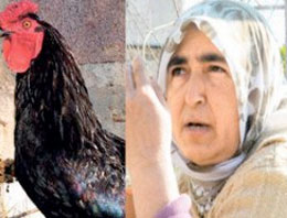 Horozu kesti, beraat etti !