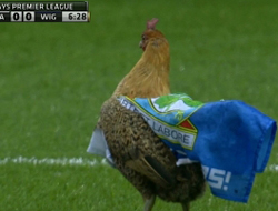 Yeşil sahada bir 'tavuk'