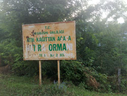 Ormaniye köylülere yardım etti