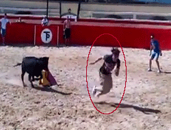 Mehmet Topal matador olursa!