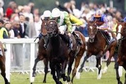 Efsane at öldü ganyan karıştı