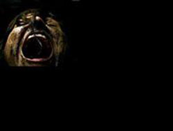 2 çocuğunu balkondan aşağı attı