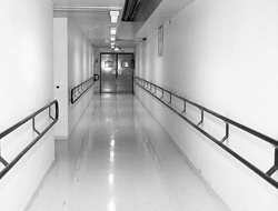 Hopa'da 27 kişi civadan zehirlendi