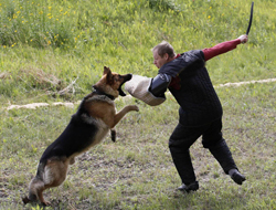 Terörün midesine pati darbesi