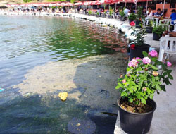 Trabzon'da deniz kirliliği  sorunu