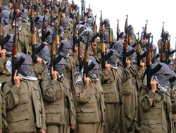 13 PKK'lı yakalandı