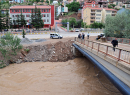 Yaşlı kadın Harşit çayına uçtu