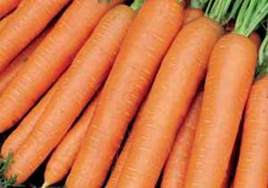 Cildin Besin Kaynağı Havuç