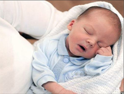 Şehzade sayısı 25 oldu