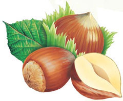 Fındığa Kurtlar Vadisi benzetmesi