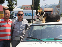 Bu olay ancak Rize'de olur