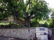 Mektupla gelen şöhret