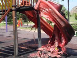 Trabzon Belediyesi şikayetçi oldu