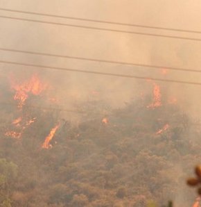 İstanbul'da orman yangını