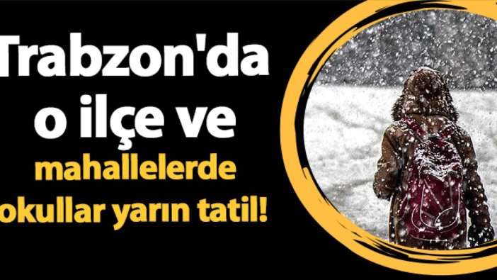 Trabzon'da o ilçe ve mahallelerde okullar yarın tatil!