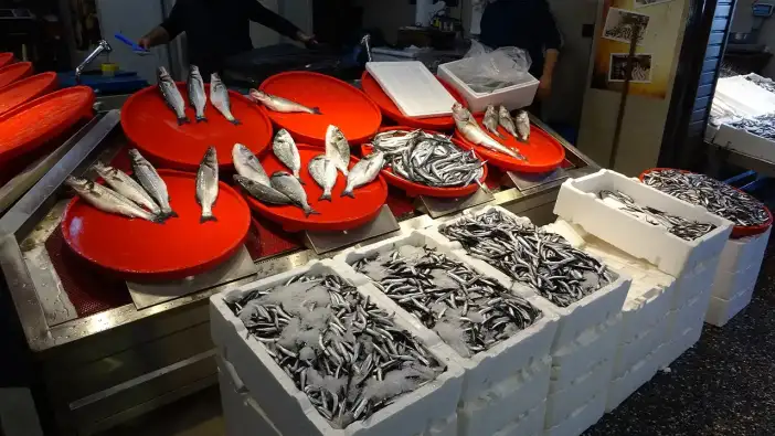 Trabzon'da palamut bu sezon yüzleri güldürmedi: Balıkçılar umudu seneye bıraktı