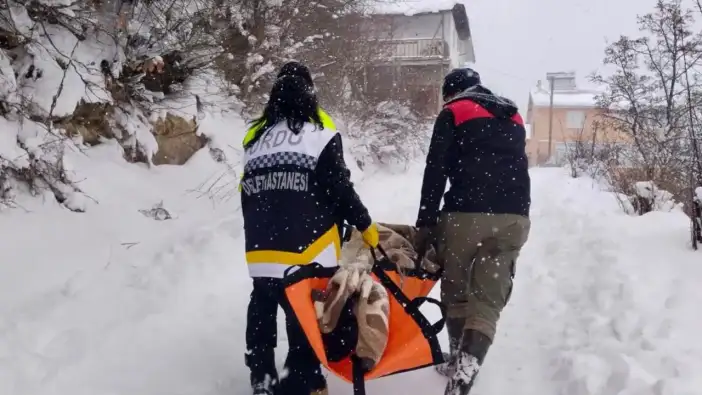 Ordu’da karla mücadele hayat kurtardı: 88 yaşındaki hasta sağlık hizmetine ulaştı