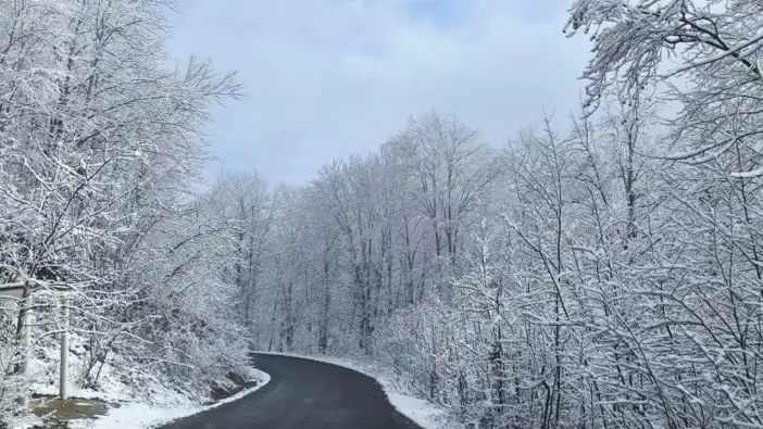 Ordu’nun yüksek kesimlerinde kar manzarası görsel şölen sundu