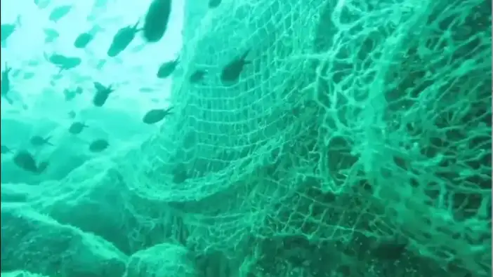 Karadeniz için kritik uyarı: Ekosistem büyük tehdit altında