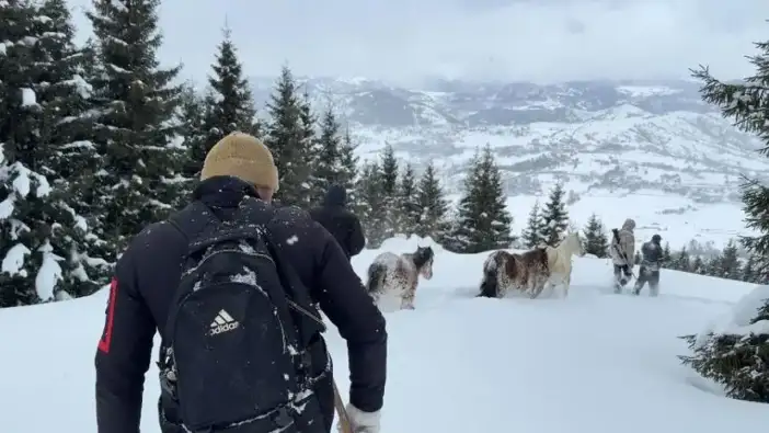 Artvin’de gençlerden örnek kurtarma: 3 aydır kayıp olan atları kurtardılar