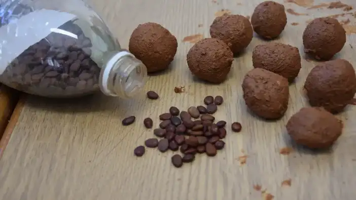 Trabzon’da öğrencilerden doğaya destek! 20 bin tohum topu hazırlandı