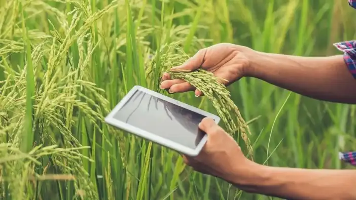Doğu Karadeniz'de kırsal boşaldı: Denge bozuldu