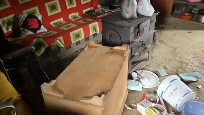 Trabzon-Gümüşhane sınırında ayıların verdiği zarar büyüyor