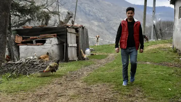 Ordu’da besici başarı hikayesi: 22 koyundan yüzlere ulaştı