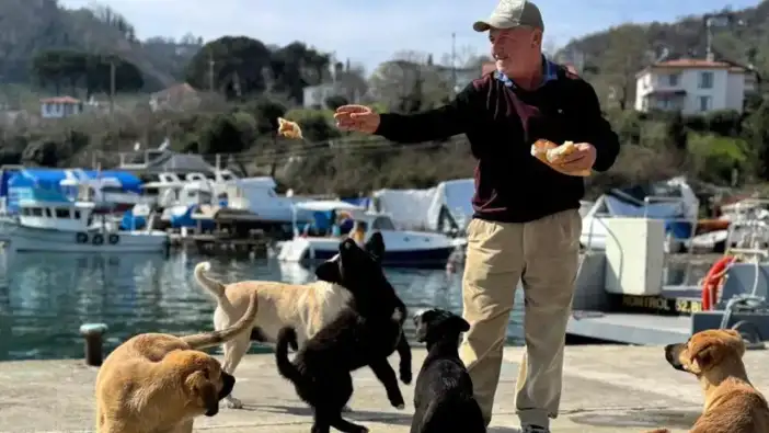 Ordu Perşembe’de balıkçıdan örnek davranış köpekleri besliyor