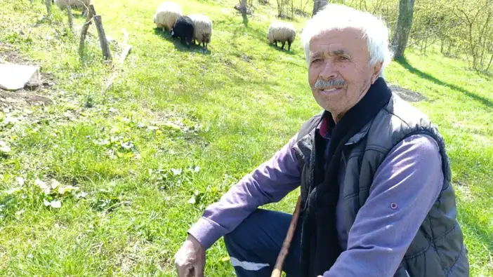 Trabzonlu 86 yaşındaki üretici dert yandı: “Hayvancılık bitti”