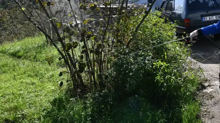 Trabzon’da çiftçileri ilgilendiren gelişme: Belge şartı getirildi