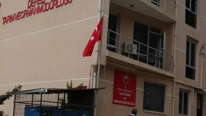 Giresun’da Tarım Müdürlüğü’nde 600 milyonluk yolsuzluk iddiası