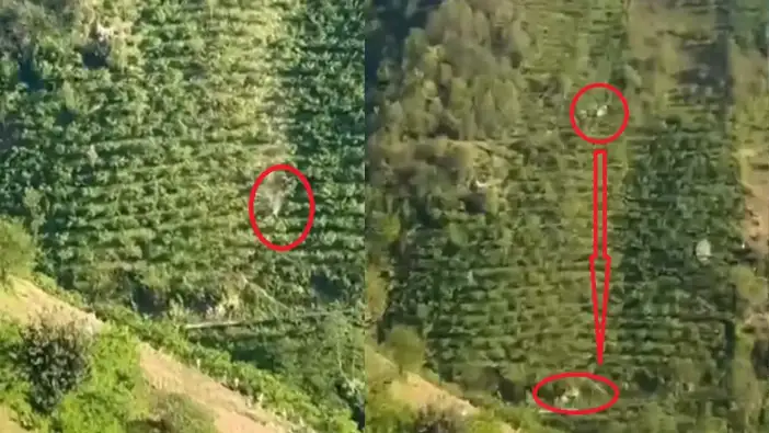 Giresun’da kamyonet 400 metrelik yamaçta taklalar atmıştı: Korkunç kaza kamerada