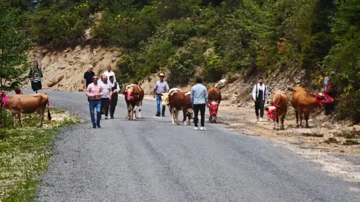 Trabzon’da yayla göçü başladı! Renkli görüntüler ortaya çıktı