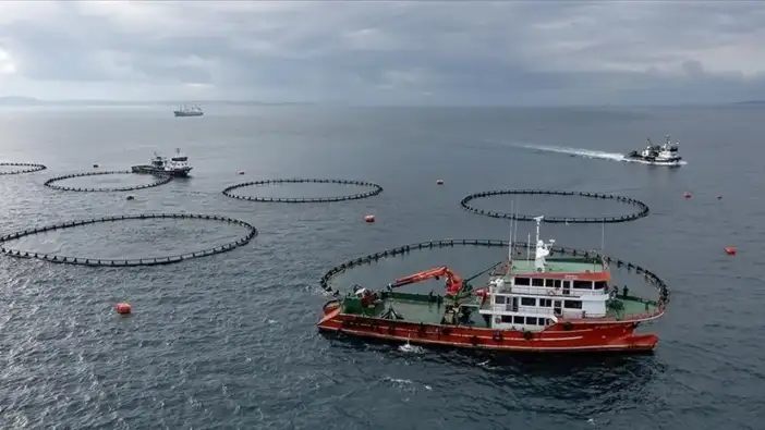 Doğu Karadeniz'den 5 Ayda 73,7 milyon dolarlık su ürünleri ihracatı
