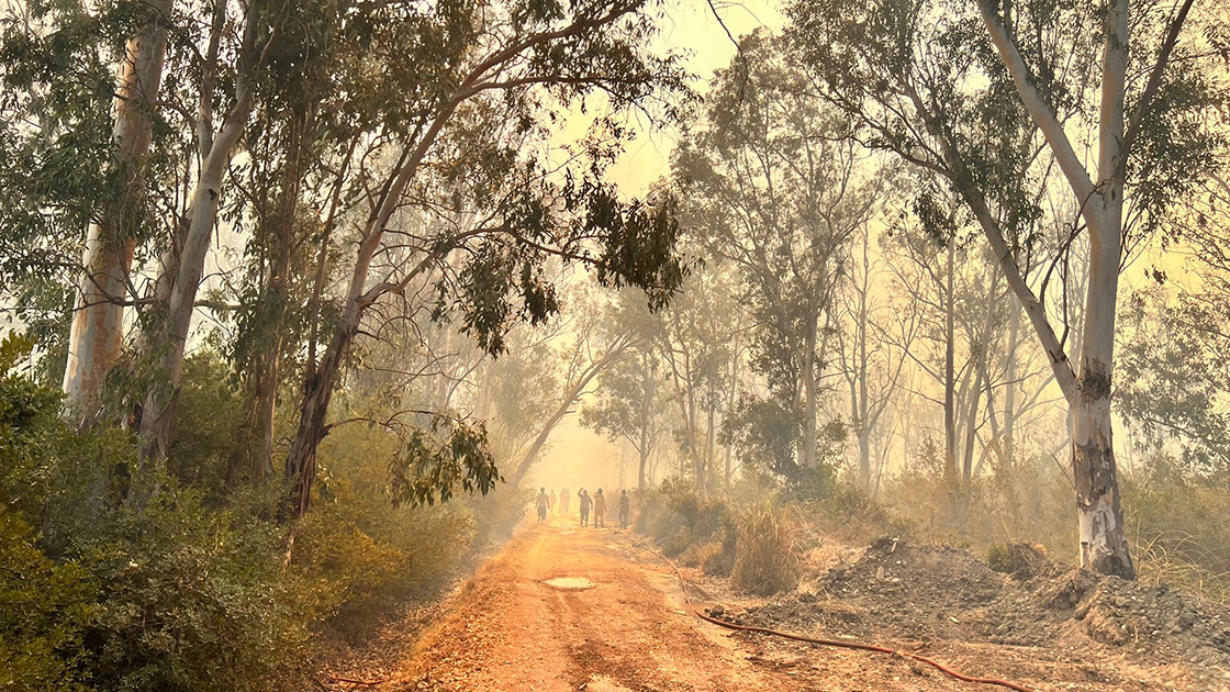 Antalya'da yangın kontrol altına alınmaya çalışılıyor