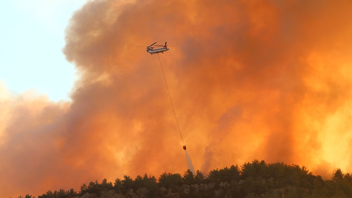 Muğla'daki orman yangını kontrol altına alındı