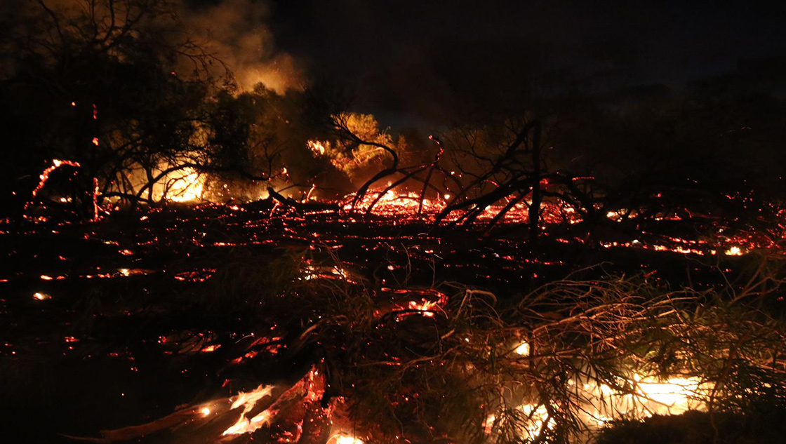 Antalya'da yangın kontrol altına alınmaya çalışılıyor