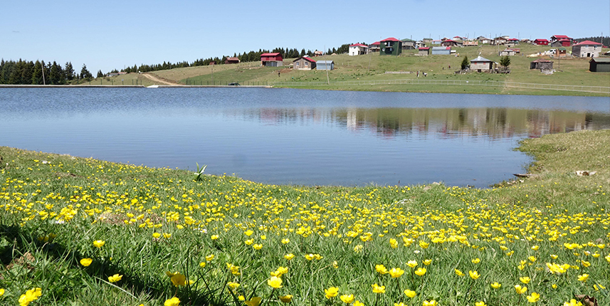Trabzon’da kuraklığa karşı önlem göletler
