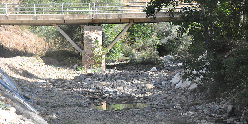 Tehlike çanları çalıyor! Karadeniz'de su sıkıntısı başlıyor